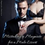 Mistaking A Magnate For A Male Escort Novel Part 2 – Download/Read PDF Free Online