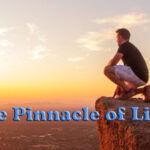 The Pinnacle Of Life Novel &#8211; Read/Download PDFs Free Online