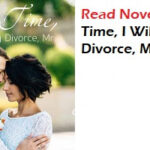 This Time I Will Get My Divorce, Mr Novel &#8211; Read/Download PDF