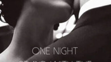 One Night Stand With The Uninvited Wolf President novel