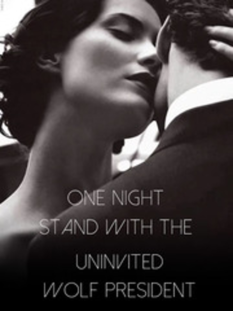 Novels in PDF: Read/Download One Night Stand With The Uninvited Wolf President Free Online