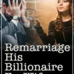 Remarriage His Billionaire Ex-Wife Novel &#8211; Download/Read PDF Free Online