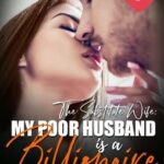 The Substitute Wife: My Poor Husband is a Billionaire Novel &#8211; Download/Read Free PDF Online