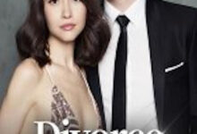 Divorce Anxiety novel cover