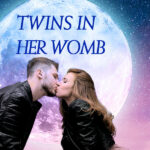 Twin In Her Womb: Sir, President Please Be Gentle Novel Download/Read PDF Online