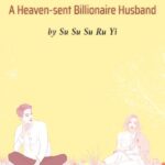 Hidden Marriage: A Heaven-Sent Billionaire Husband Novel &#8211; Su Su Su Ru Yi Download Free PDF Online