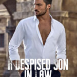 The Despised Son-in-law Strikes Back Novel PDF Read/Download online