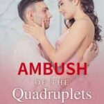 Ambush of the Quadruplets: Stay Away From This Woman Novel PDF – Read/Download Online.