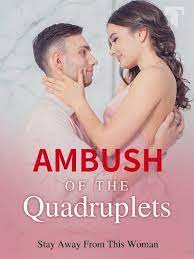 Ambush of the Quadruplets: Stay Away From This Woman Novel PDF – Read/Download Online.