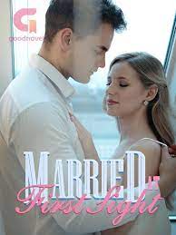 Gu Lingfei: Married At First Sight Novel Part 2 PDF Free Download/Read Online