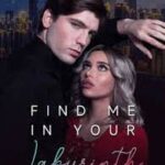 Find Me In Your Labyrinth Novel PDF Read/Download Online