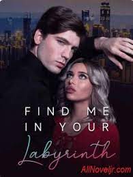 Find Me In Your Labyrinth Novel PDF Read/Download Online