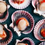 Scallop Foods: Nutritional Facts and Benefits
