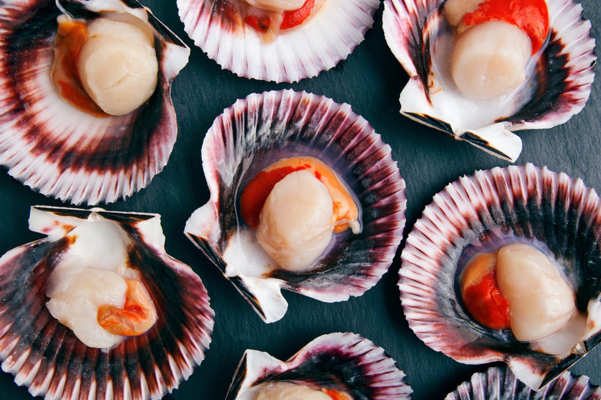Scallop Foods: Nutritional Facts and Benefits