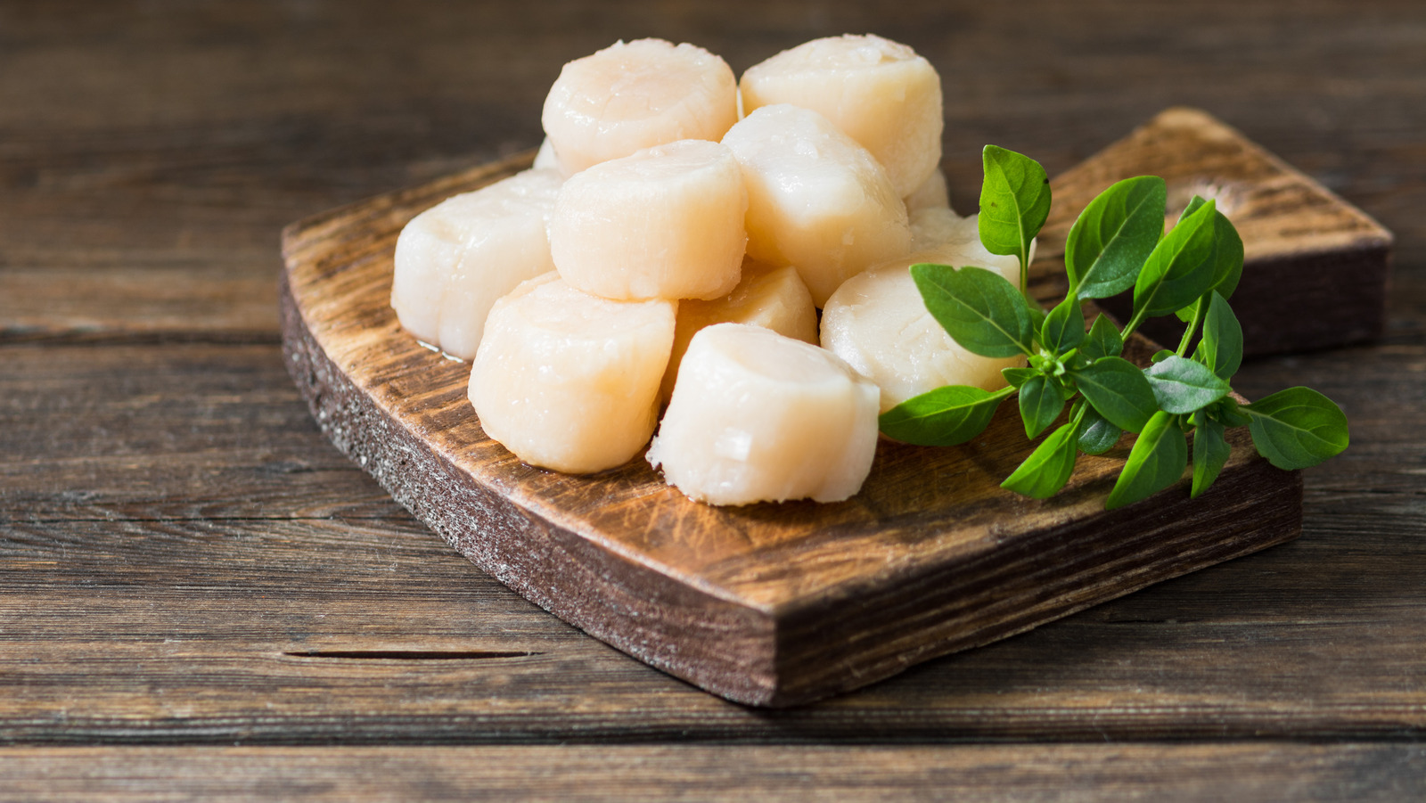 Scallop Foods: Sea Scallops vs Bay Scallops