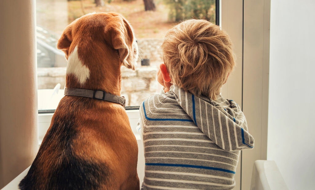 Factors To Consider Before You Adopt a Pet