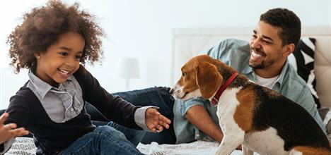 choosing the perfect pet