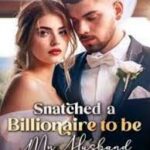 Snatched A Billionaire To Be My Husband Novel PDF Read/Download Online.