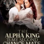 Why You Should Read The Alpha King Is My Second Chance Mate Novel