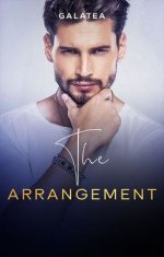 The Arrangement Novel PDF Read/Download Online