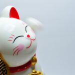 Don’t Let Reality Spoil a Great Chinese Novel