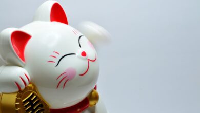 How To Read Chinese Novels