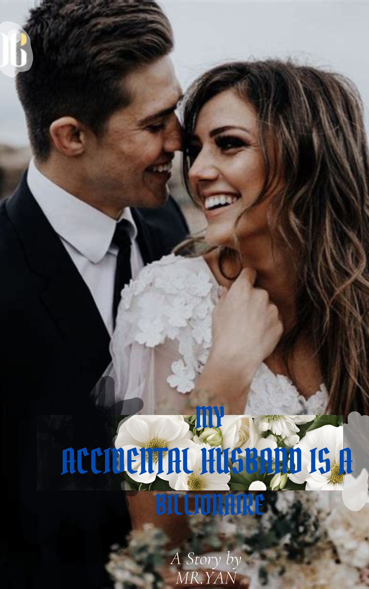 My Accidental Husband Is A Billionaire Novel PDF Read/Download Online