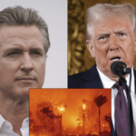 Trump Criticizes Governor Gavin Newsom Over Los Angeles Wildfire Management
