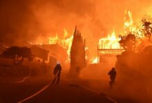 Los Angeles Wildfire