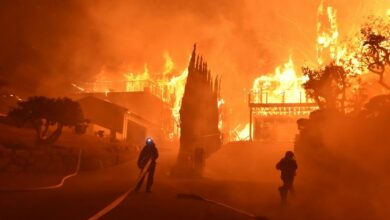Los Angeles Wildfire